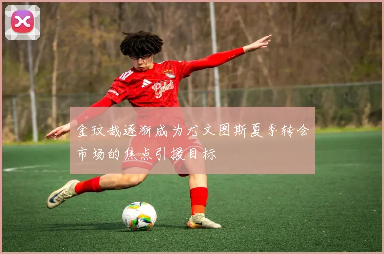 金玟哉逐渐成为尤文图斯夏季转会市场的焦点引援目标