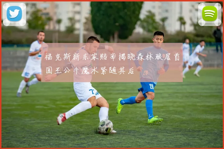 福克斯新东家赔率揭晓森林狼居首国王公牛魔术紧随其后