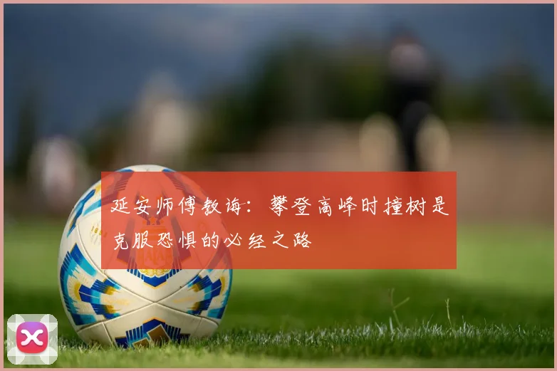 延安师傅教诲：攀登高峰时撞树是克服恐惧的必经之路